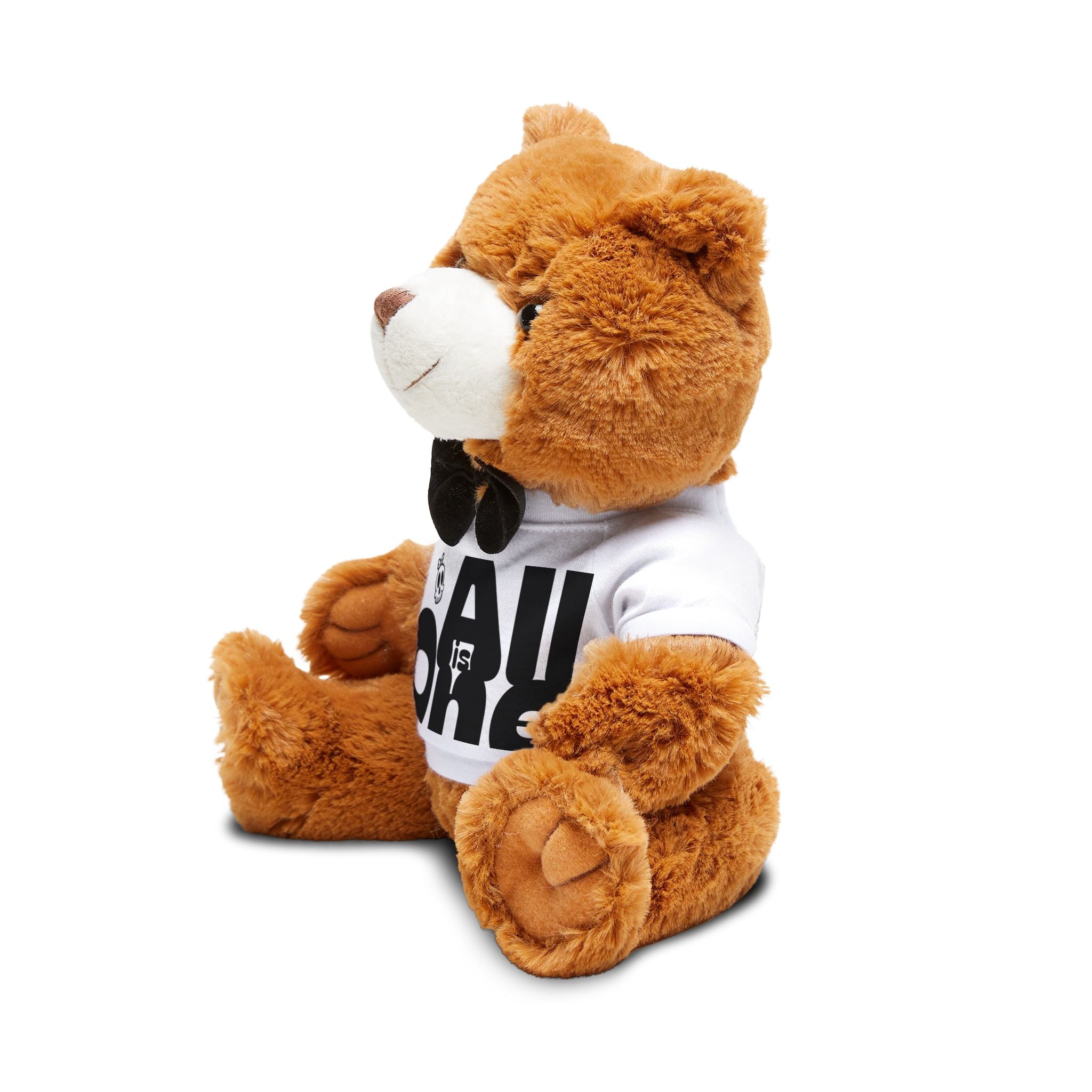Philosophical Teddy Bear